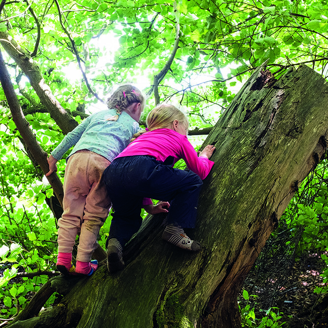 My Active World resource